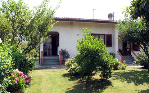 Emilia: Casa, Arbusto, Giardino, Zona Residenziale, Casa, Prato, Groundcover, Porta, Backyard