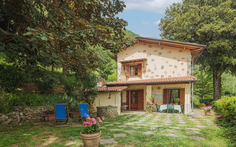 La Quercia: Pianta, Costruzione, Finestra, Vaso Di Fiori, Cielo, Albero, Lotto, Nube, Casa, Erba