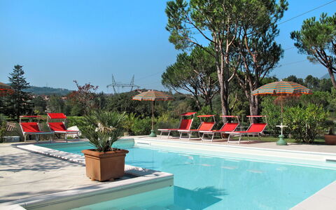Verde Versilia: Acqua, Pianta, Cielo, Proprietà, Piscina, Azzurro, Albero, Shade, Mobili Da Esterno, Vaso Di Fiori