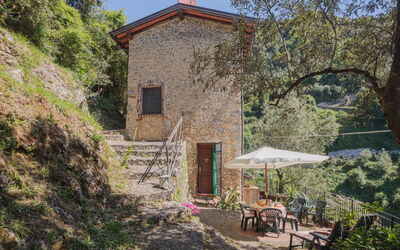 L'Oliveto