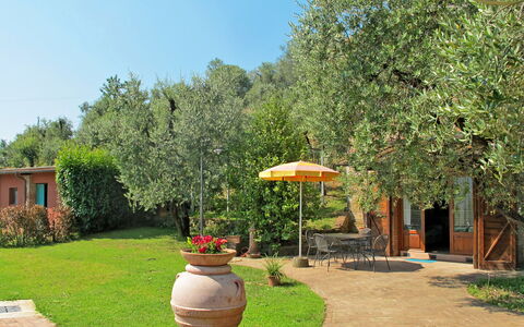 Colle alla Luna: Proprietà, Immobiliare, Cortile, Backyard, Giardino, Casa, Casa, Erba, Albero, Costruzione