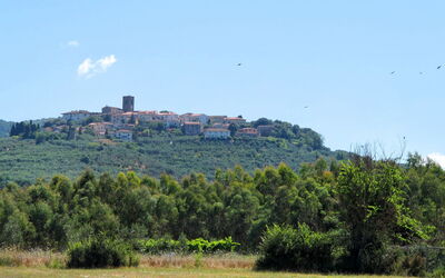 Monsummano Terme 604