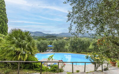 Monsummano Terme 604