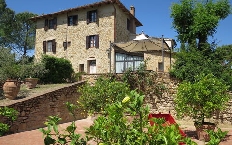 Il Sangiovese: Pianta, Proprietà, Casa, Zona Residenziale, Immobiliare, Costruzione, Arbusto, Giardino, Casa, Tetto