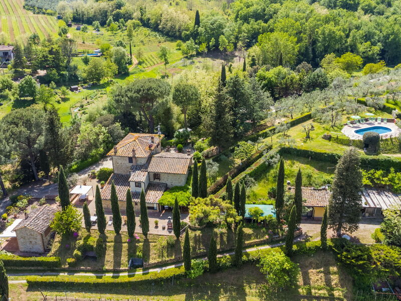 Il Sangiovese