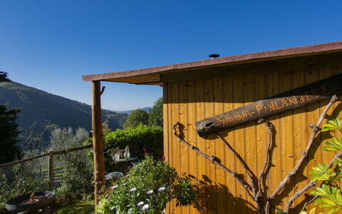 Il Poderino: Cielo, Pianta, Proprietà, Costruzione, Legna, Albero, Shade, Villetta, Paesaggio, Area Rurale