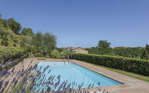 Amos: Acqua, Pianta, Cielo, Piscina, Natura, Azzurro, Paesaggio Naturale, Albero, Vegetazione, Lotto