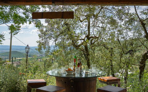 La Felcaia: Pianta, Tavolo, Mobilia, Luce, Botanica, Natura, Legna, Shade, Cielo, Paesaggio Naturale