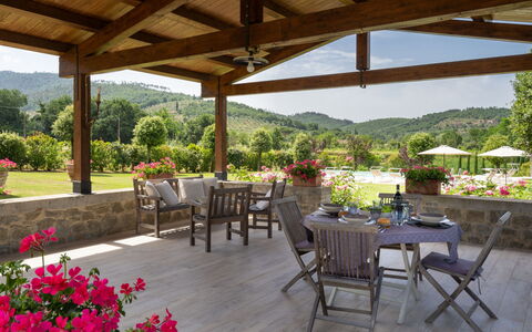 Santa Lucia: Pianta, Fiore, Tavolo, Mobilia, Proprietà, Vaso Di Fiori, Sedia, Interior Design, Mobili Da Esterno, Shade