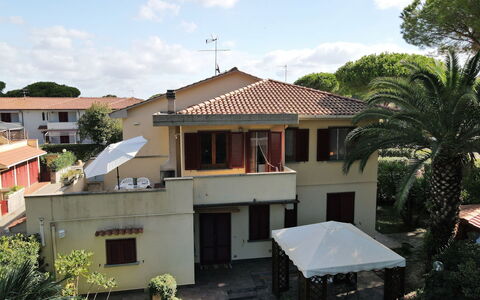 Pineforest: Nube, Pianta, Cielo, Costruzione, Proprietà, Finestra, Albero, Architettura, Casa, Tetto