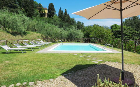 Melograno: Pianta, Acqua, Cielo, Piscina, Natura, Costruzione, Shade, Albero, Rettangolo, Architettura