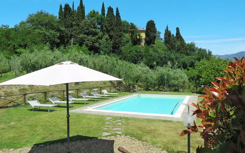 Melograno: Acqua, Cielo, Proprietà, Pianta, Piscina, Albero, Shade, Ombrello, Costruzione, Mobili Da Esterno