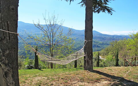 Villa al Sole: Albero, Vegetazione, Natura Selvaggia, Cielo, Montagna, Erba, Woody Impianto, Parete, Collina, Primavera
