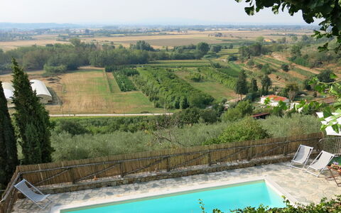 Maestraccio: Proprietà, Piscina, Paesaggio Naturale, Risorse Idriche, Casa, Area Rurale, Immobiliare, Vacanza, Estate, Villa