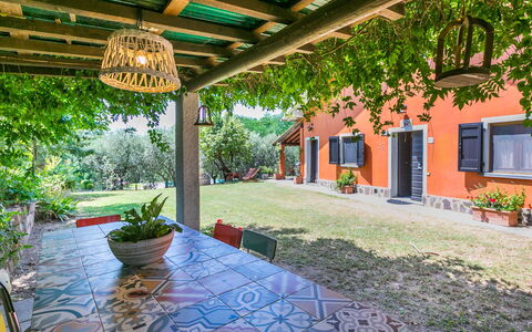 Podere Cerbaia (Smr100): Pianta, Vaso Di Fiori, Costruzione, Pianta Della Casa, Finestra, Shade, Architettura, Interior Design, Tempo Libero, Albero