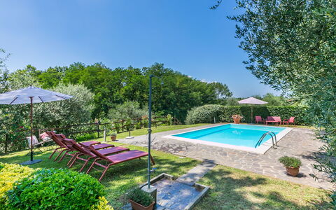 Podere Cerbaia (Smr100): Pianta, Acqua, Cielo, Piscina, Shade, Mobili Da Esterno, Albero, Ombrello, Erba, Tempo Libero