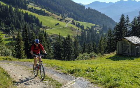 Valmeinier 606: Bicicletta, Ruota, Pianta, Montagna, Cielo, Bicycle Wheel