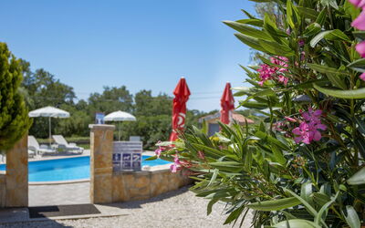 Poreč Kaštelir 655
