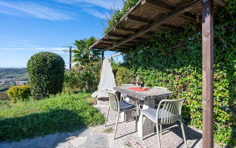 Cossombrato 607: Arbusto, Giardino, Mobili Da Esterno, Shade, Tavolo Esterno, Landscaping, Sedia, Eco Hotel, Backyard, Pianta Della Casa