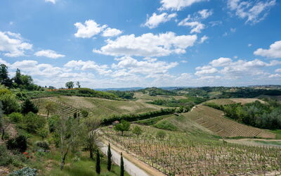Alloggio:&nbsp;Agriturismo Colle di San Michele 604.2