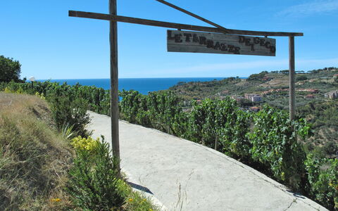 San Lorenzo al Mare 639: Cielo, Pianta, Comunita 'Impianto, Ecoregione, Natura, Ambiente Naturale, Paesaggio Naturale, Pendenza, Lotto, Vegetazione