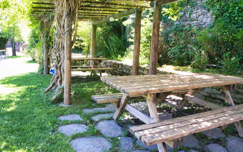 Dolcedo 663: Pianta, Mobilia, Panchina, Shade, Mobili Da Esterno, Tavolo Da Picnic, Legna, Vegetazione, Albero, Biome