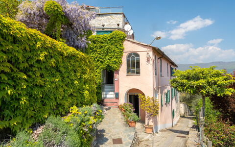 Dolcedo 665: Cielo, Pianta, Fiore, Nube, Costruzione, Proprietà, Finestra, Casa, Architettura, Vegetazione