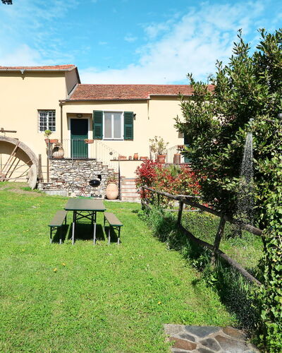 Il Gelsomino (Imp276)
