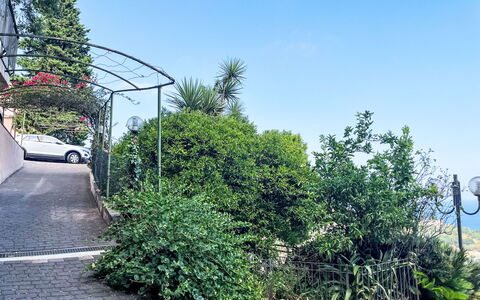 Pietra Ligure 612: Vegetazione, Arbusto, Woody Impianto, Giardino, Shade, Landscaping, Driveway, Passerella, Sentiero