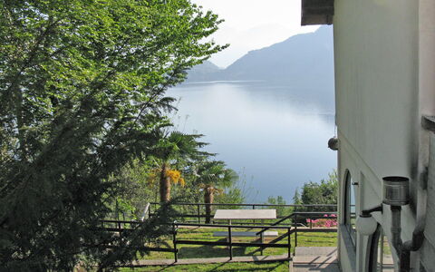 Giulietta: Albero, Cielo, Erba, Paesaggio, Architettura, Hill Station, Pianta, Casa, Recinzione