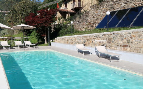 Viola: Acqua, Pianta, Proprietà, Costruzione, Piscina, Azzurro, Mobili Da Esterno, Shade, Lettino, Cielo