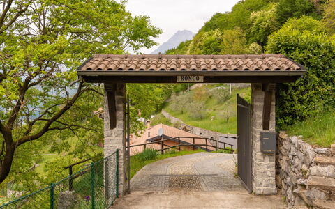 Varenna 618: Pianta, Comunita 'Impianto, Cielo, Albero, Botanica, Paesaggio Naturale, Shade, Legna, Manto Stradale, Biome