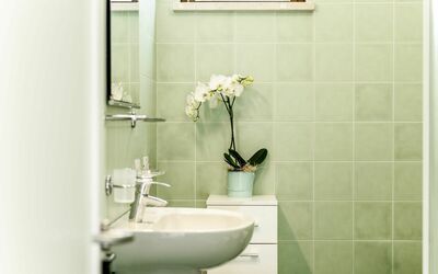 Onda Blu 641.1: Fiore, Fotografia, Idraulico Fixture, Lavandino Del Bagno, Pianta, Viola, Bagno, Illuminazione, Interior Design, Lavello