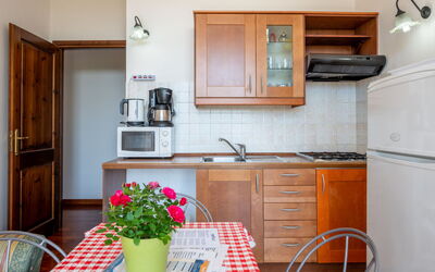Paolo 649.2: Cabinetry, Controsoffitto, Mobilia, Fiore, Cucina, Pianta, Elettrodomestico Da Cucina, Vaso Di Fiori, Legna, Lavandino Della Cucina