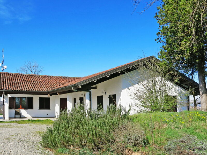 Asti 649