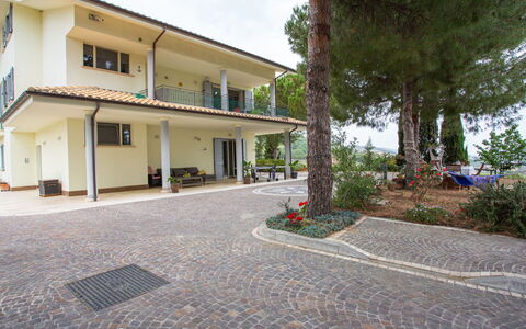 Pineto 636: Pianta, Costruzione, Proprietà, Finestra, Albero, Cielo, Manto Stradale, Asfalto, Casa, Urban Design
