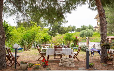 Alloggio:&nbsp;Michela 636.1