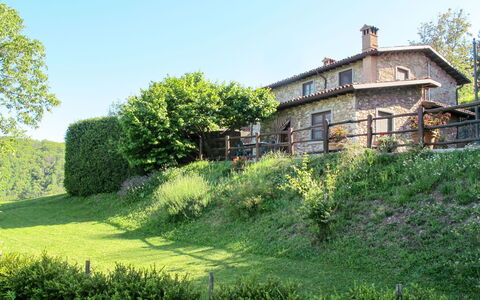 Castelnuovo di Garfagnana 640: Paesaggio Naturale, Casa, Verde, Vegetazione, Proprietà, Erba, Lotto, Albero, Agriturismo, Casa