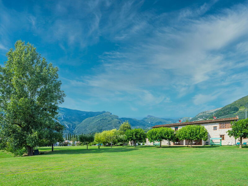 Camaiore 680
