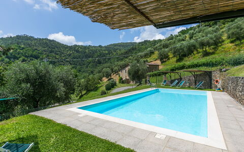 Pescia 626: Acqua, Proprietà, Pianta, Nube, Cielo, Piscina, Costruzione, Azzurro, Shade, Albero