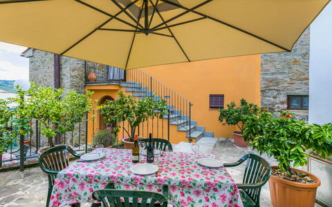 Pescia 629: Tavolo, Pianta, Mobilia, Proprietà, Costruzione, Vaso Di Fiori, Sedia, Tavolo Esterno, Shade, Ombrello