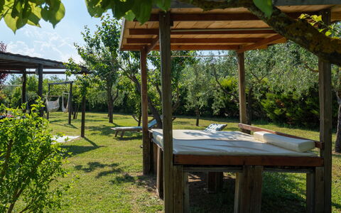 Le Buche: Pianta, Proprietà, Shade, Botanica, Cielo, Tempo Libero, Erba, Spazio Pubblico, Gazebo, Paesaggio