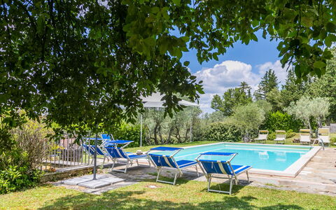 Panzano 604: Pianta, Acqua, Nube, Cielo, Azzurro, Shade, Piscina, Mobili Da Esterno, Albero, Lettino