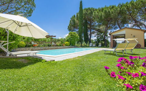Bucine 609: Pianta, Cielo, Fiore, Albero, Shade, Mobili Da Esterno, Lotto, Costruzione, Ombrello, Piscina
