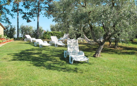 Linari 603: Albero, Proprietà, Erba, Prato, Cortile, Lotto, Pianta, Giardino, Parco, Prato