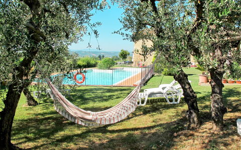 Linari 603: Albero, Erba, Woody Impianto, Primavera, Pianta, Lotto, Paesaggio, Tempo Libero, Area Rurale
