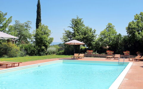 San Gimignano 647: Piscina, Proprietà, Tempo Libero, Immobiliare, Vacanza, Casa, Costruzione, Ricorrere, Estate, Erba