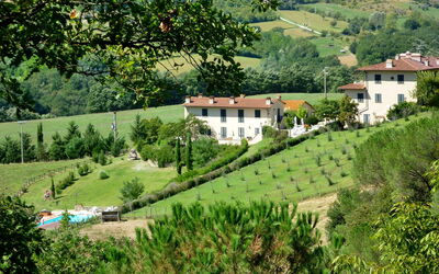 Dicomano 612