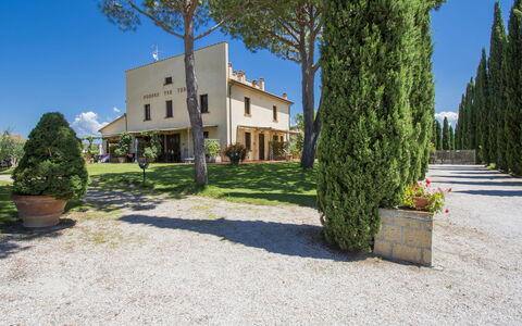 Cecina 609: Proprietà, Immobiliare, Casa, Casa, Albero, Estate, Zona Residenziale, Costruzione, Erba, Architettura