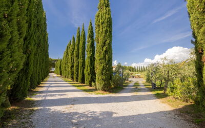 Alloggio:&nbsp;Podere Tre Termini 609.6